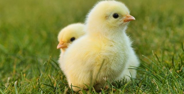 Ferienbetreuung Ostern 3